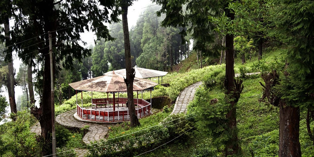 PCD-10001-PCD-10001-4.jpg Image