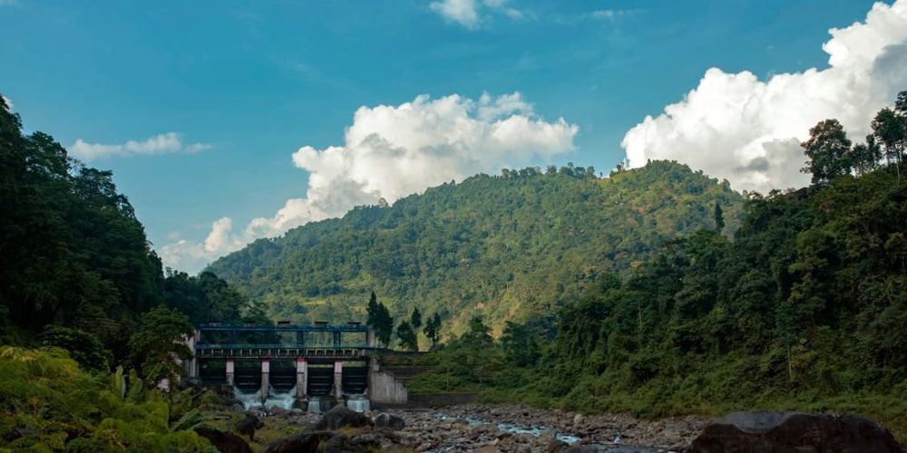 PCD-10001-PCD-10001-5.jpg Image