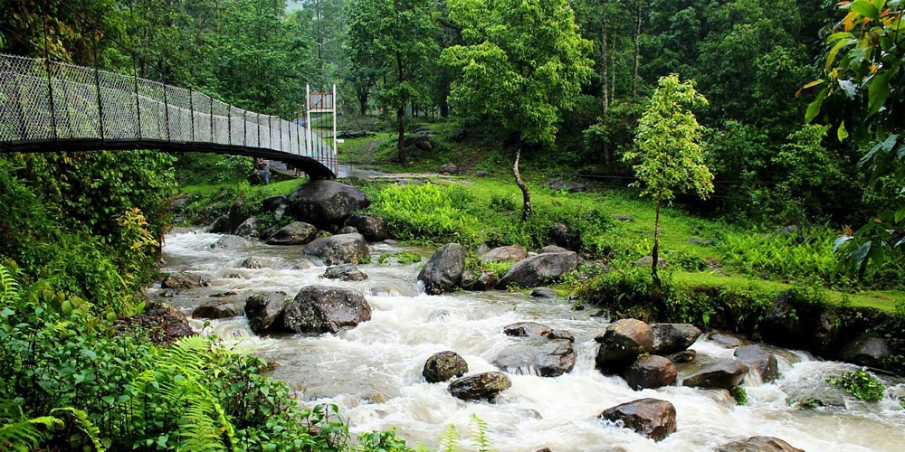 PCD-10002-PCD-10002-3.jpg Image