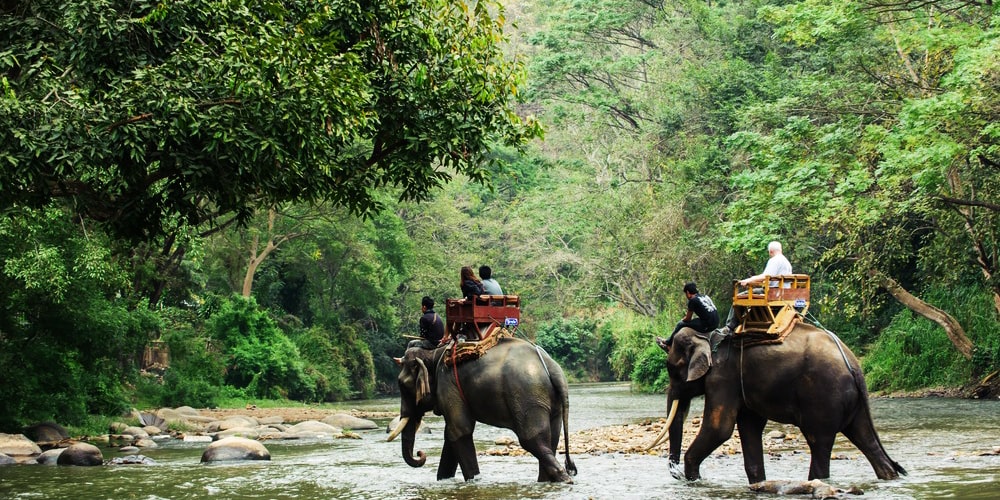 PCD-10002-PCD-10002-4.jpg Image