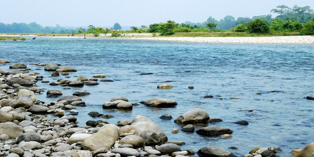 PCD-10002-PCD-10002-5.jpg Image