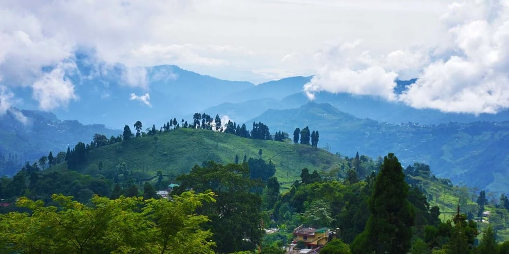 PCD-10003-PCD-10003-1.jpg Image