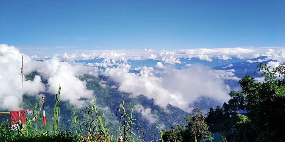 PCD-10003-PCD-10003-3.jpg Image