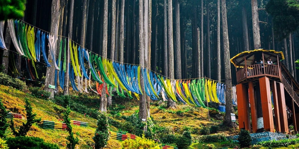 PCD-10003-PCD-10003-4.jpg Image