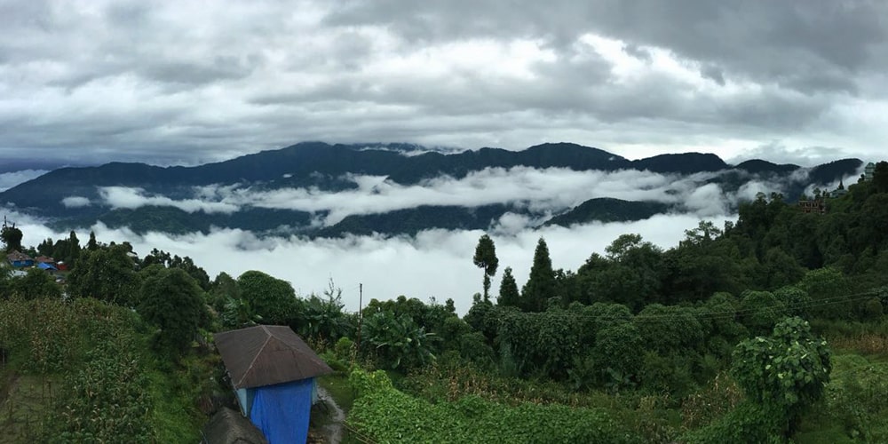 PCD-10003-PCD-10003-5.jpg Image