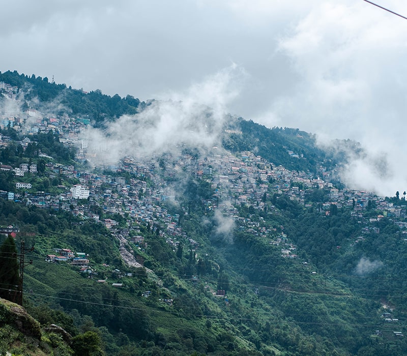 Darjeeling Image