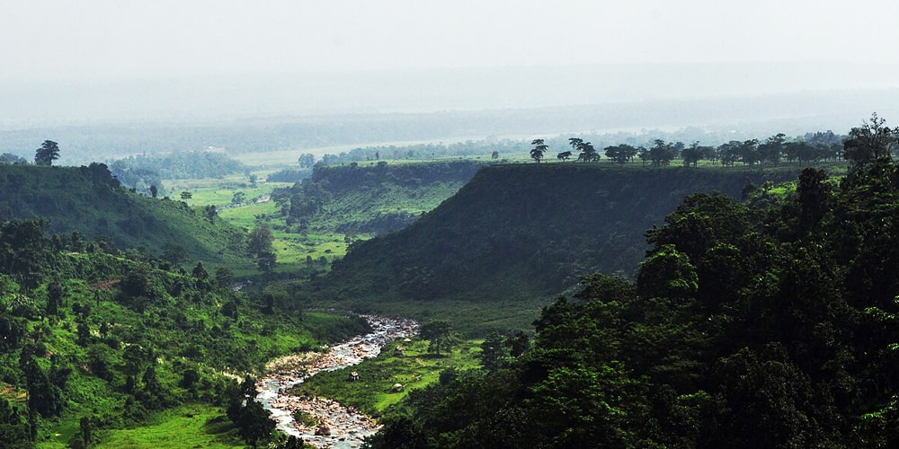 PCD-10004-PCD-10004-1.jpg Image