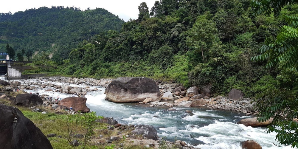 PCD-10004-PCD-10004-4.jpg Image