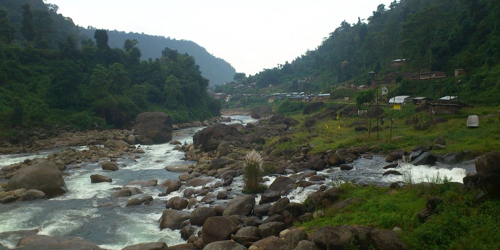 PCD-10004-PCD-10004-5.jpg Image