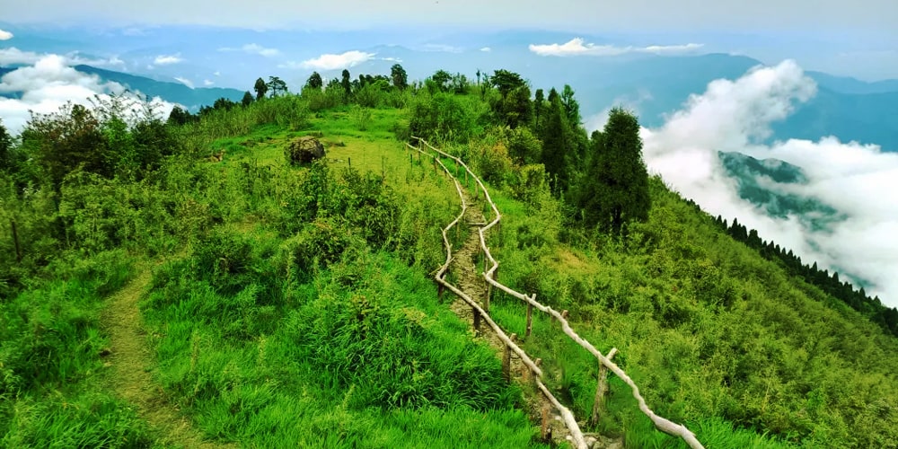 PCD-10006-PCD-10006-1.jpg Image