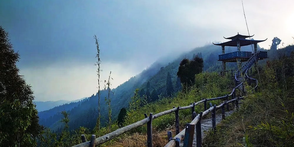 PCD-10006-PCD-10006-5.jpg Image