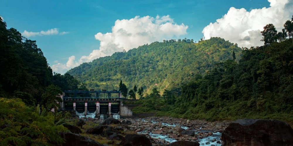 PCD-10007-PCD-10007-1.jpg Image