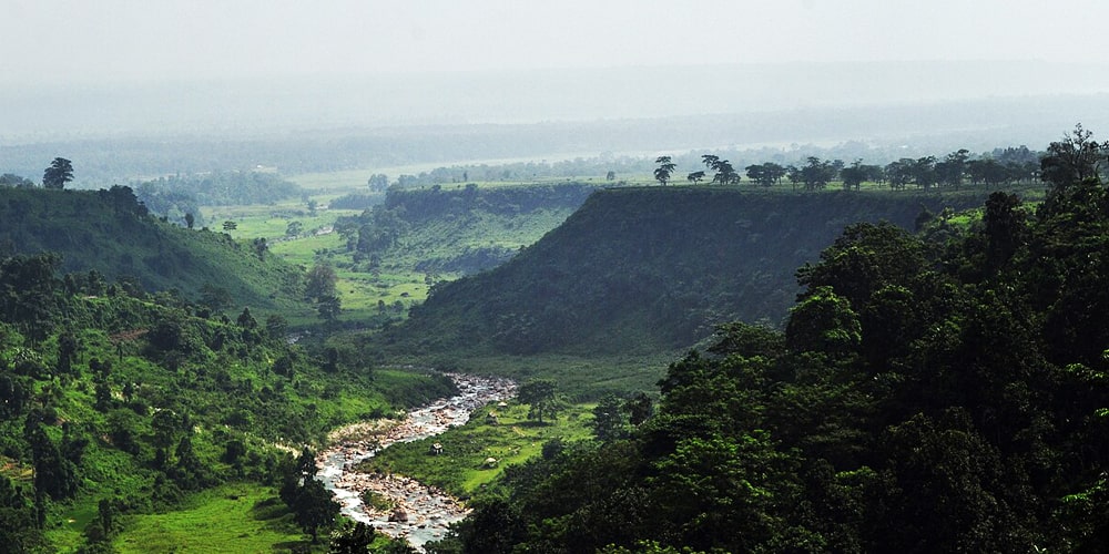 PCD-10007-PCD-10007-2.jpg Image