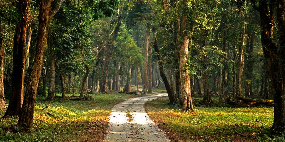 PCD-10007-PCD-10007-3.jpg Image