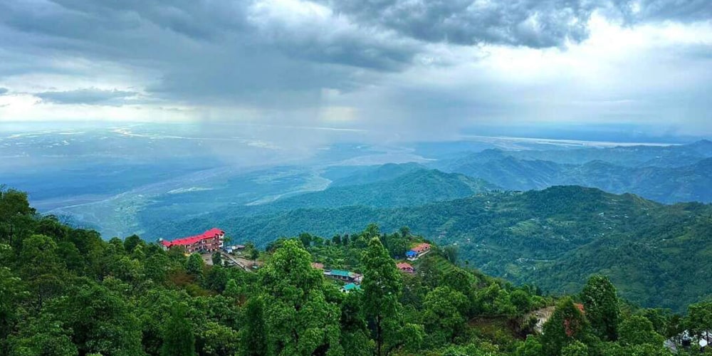 PCD-10008-PCD-10008-3.jpg Image