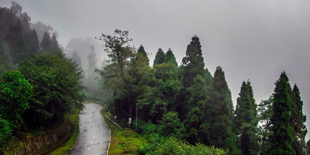 PCD-10008-PCD-10008-4.jpg Image