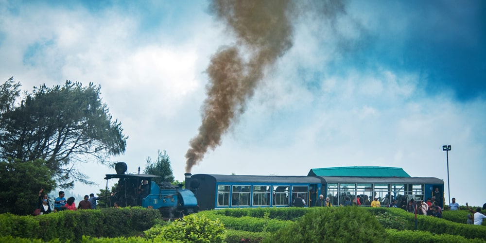 PCD-10009-PCD-10009-1.jpg Image