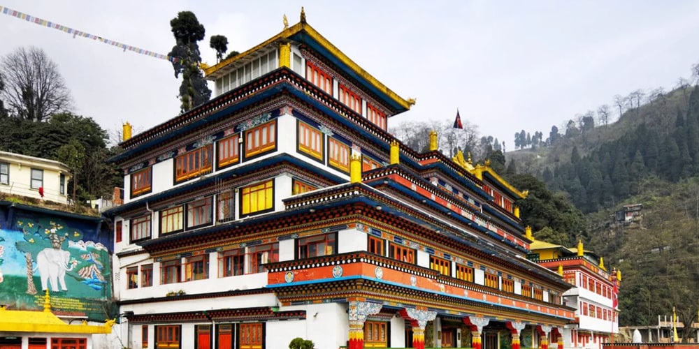 PCD-10009-PCD-10009-3.jpg Image