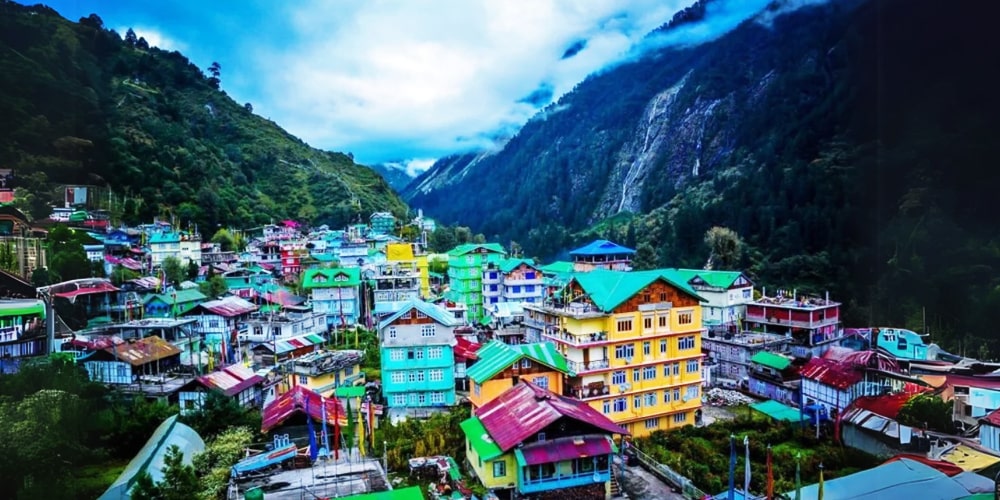 PCD-10009-PCD-10009-5.jpg Image