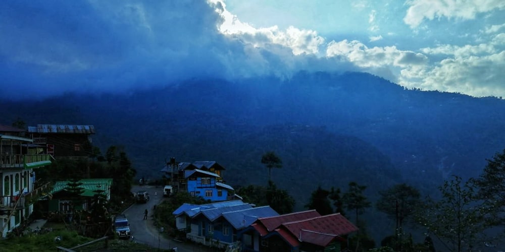 PCD-10010-PCD-10010-1.jpg Image