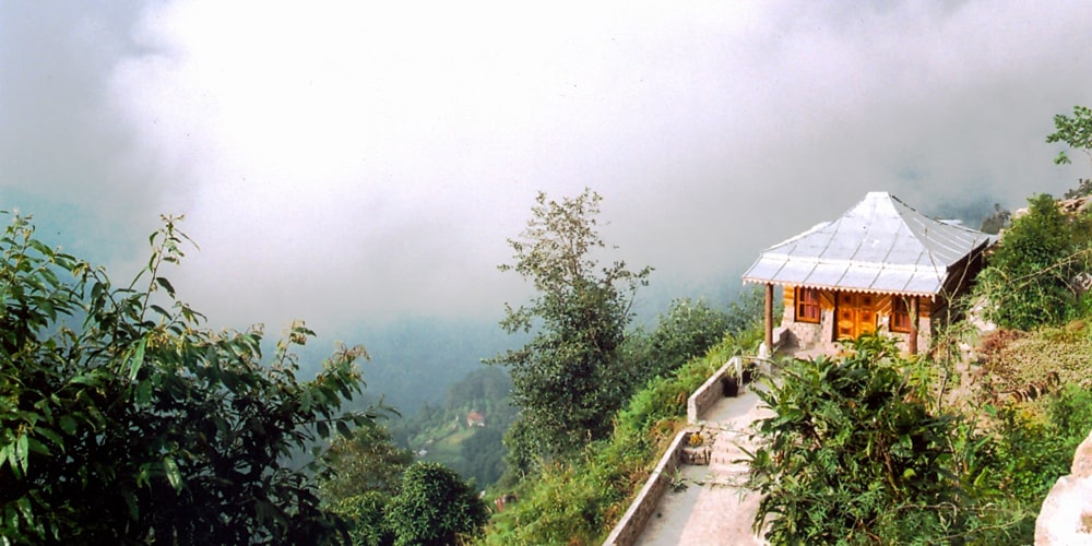 PCD-10010-PCD-10010-3.jpg Image