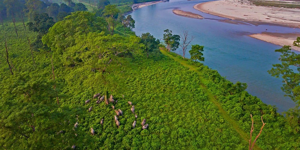 PCD-10011-PCD-10011-4.jpg Image