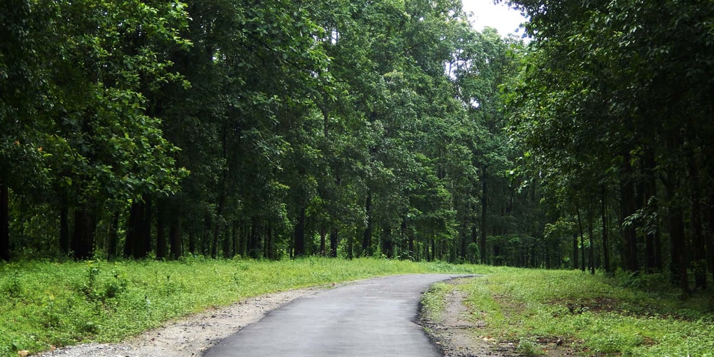 PCD-10011-PCD-10011-5.jpg Image