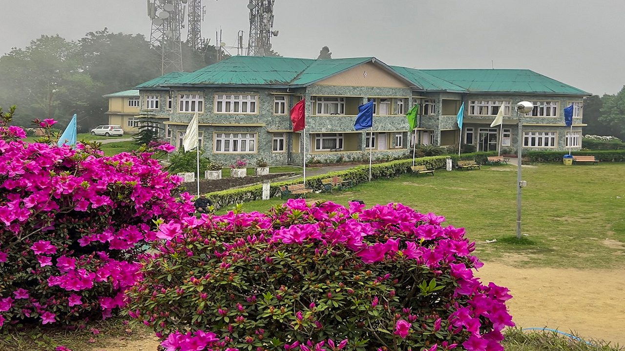 PCD-10012-PCD-10012-4.jpg Image