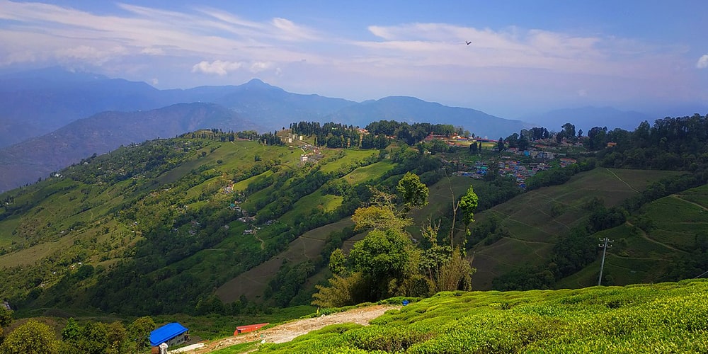 PCD-10014-PCD-10014-1.jpg Image