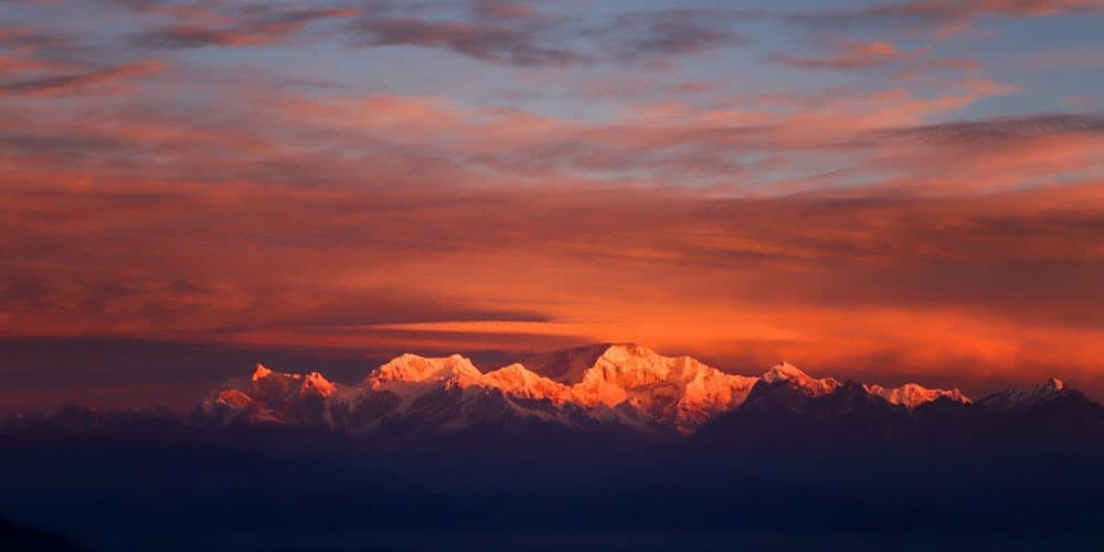 PCD-10014-PCD-10014-2.jpg Image