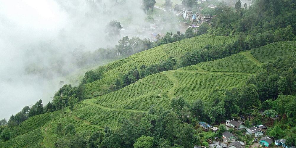 PCD-10014-PCD-10014-5.jpg Image