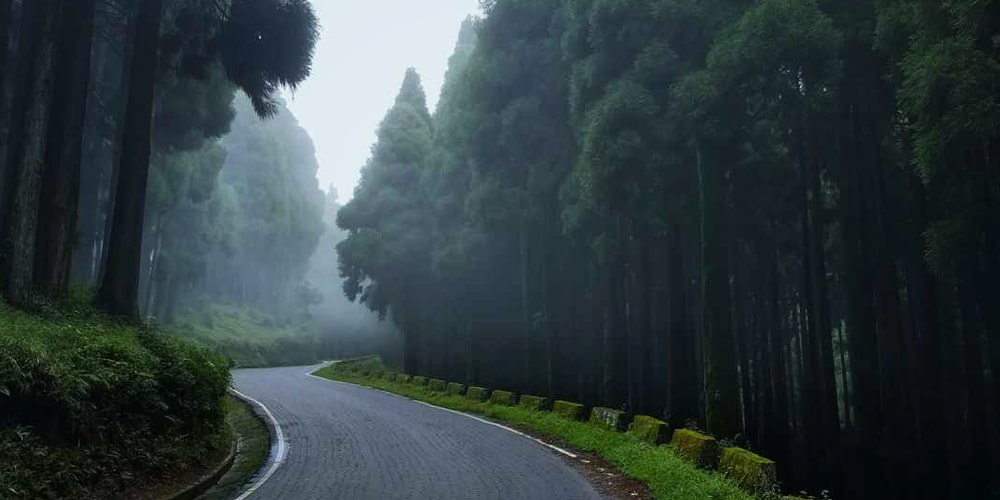 PCD-10015-PCD-10015-2.jpg Image