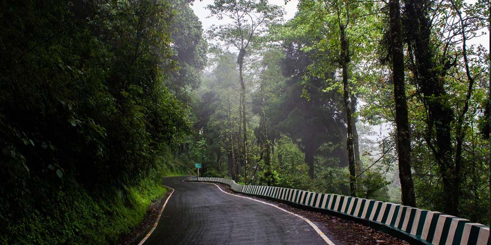 PCD-10015-PCD-10015-3.jpg Image