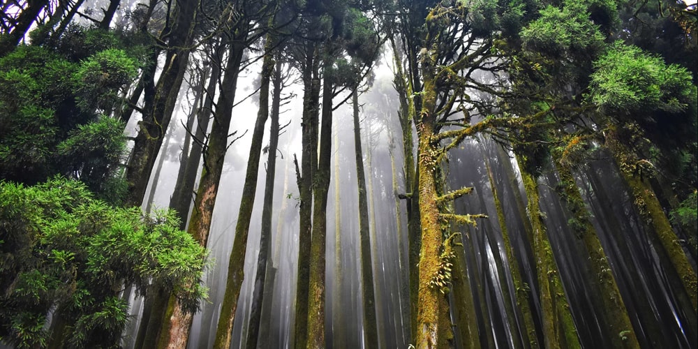 PCD-10015-PCD-10015-4.jpg Image