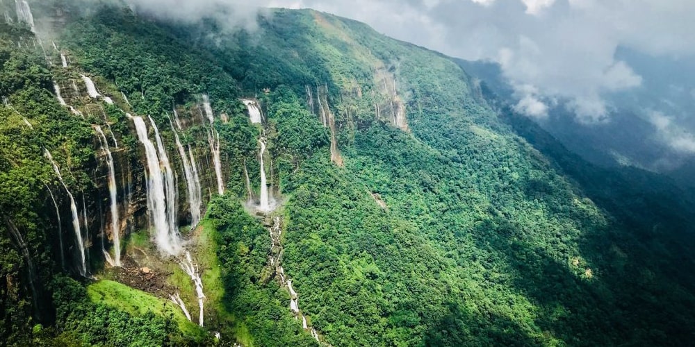 PCD-10016-PCD-10016-2.jpg Image