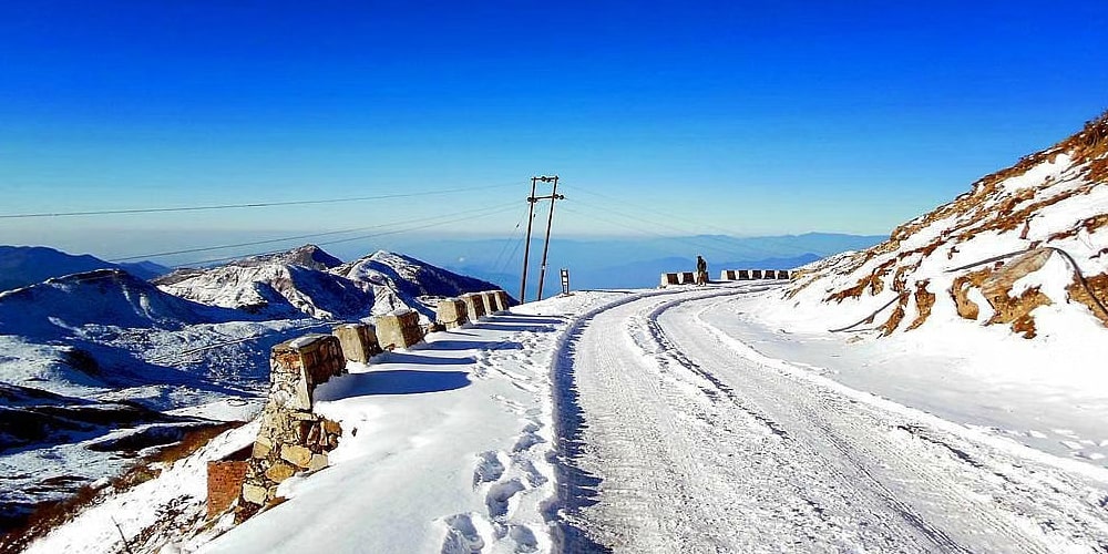 PCD-10017-PCD-10017-1.jpg Image