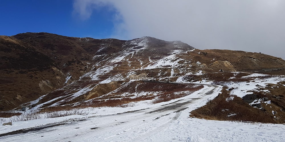 PCD-10017-PCD-10017-3.jpg Image