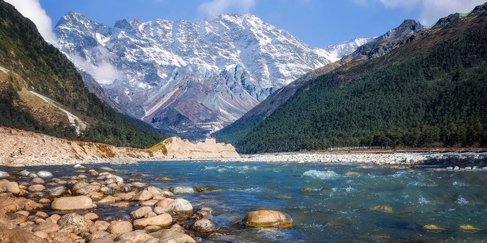 PCD-10018-PCD-10018-4.jpg Image