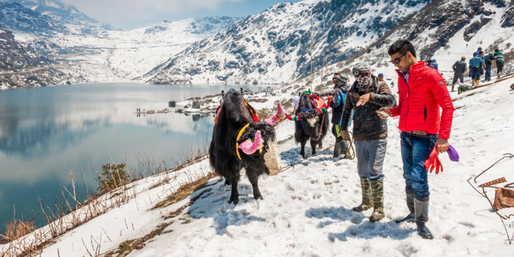 PCD-10018-PCD-10018-5.jpg Image