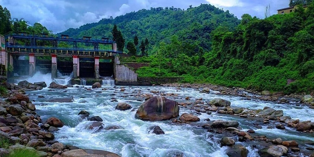 PCD-10019-PCD-10019-1.jpg Image