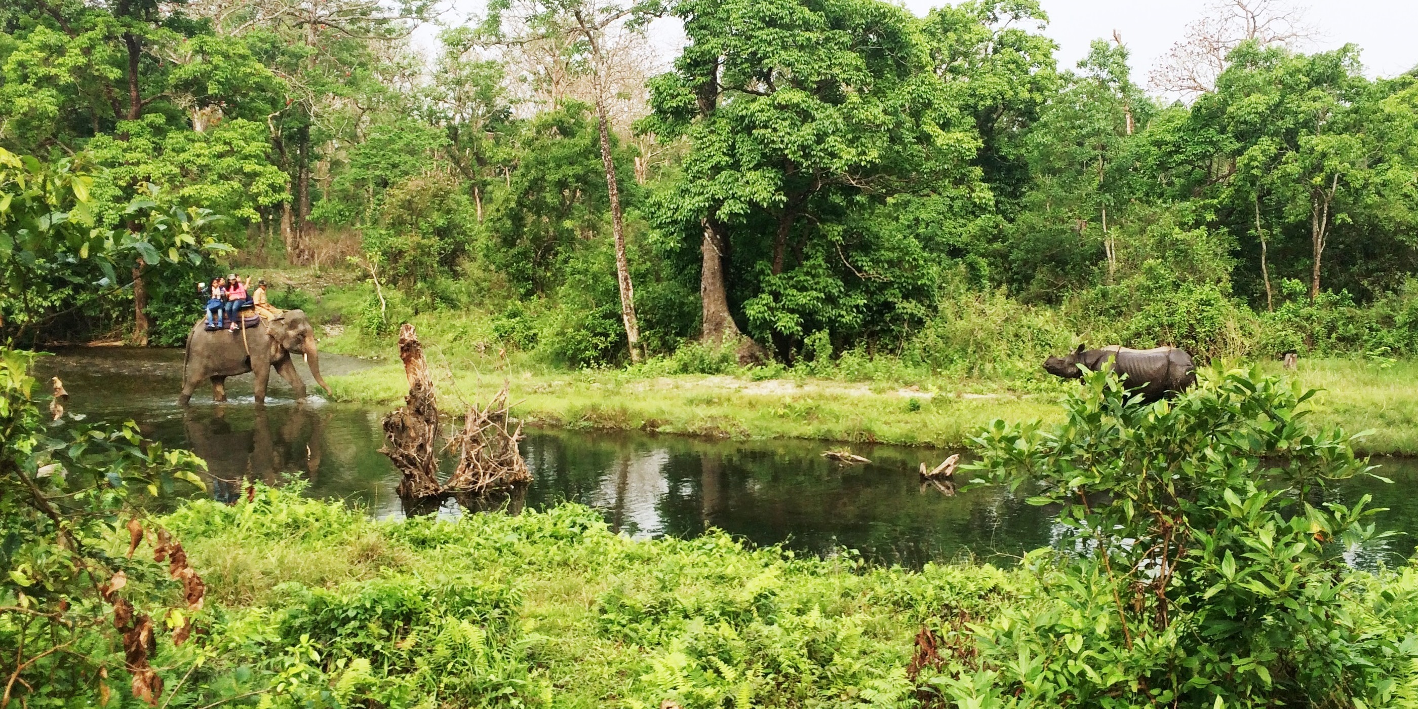 PCD-10019-PCD-10019-4.jpg Image