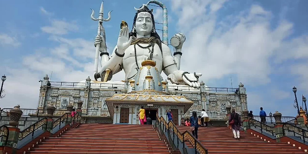 PCD-10020-PCD-10020-1.jpg Image