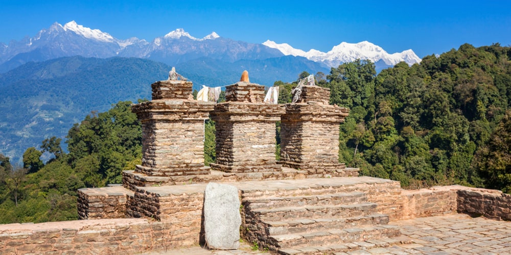 PCD-10020-PCD-10020-3.jpg Image