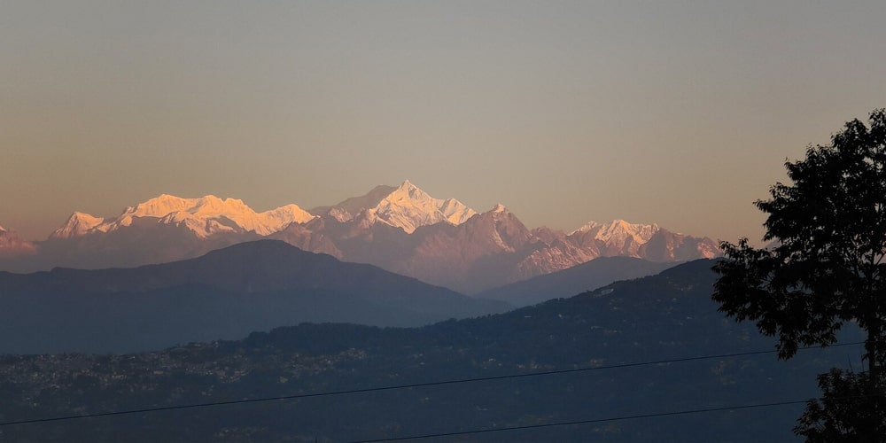 PCD-10021-PCD-10021-1.jpg Image