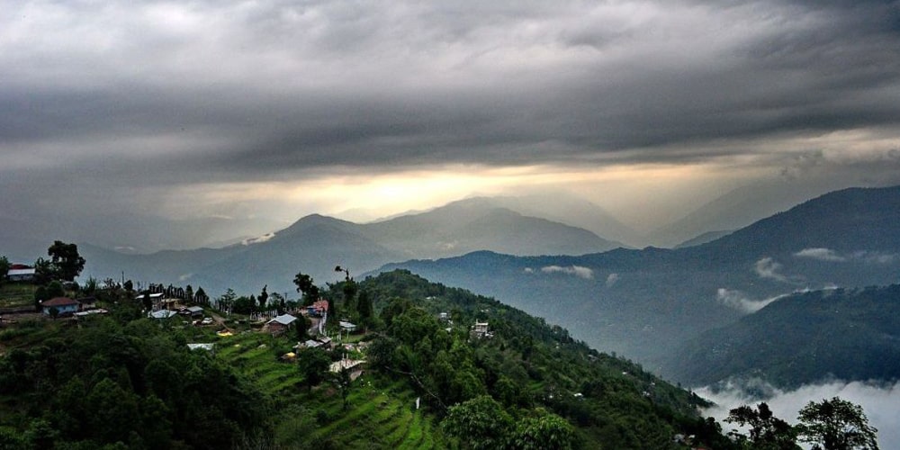 PCD-10021-PCD-10021-2.jpg Image