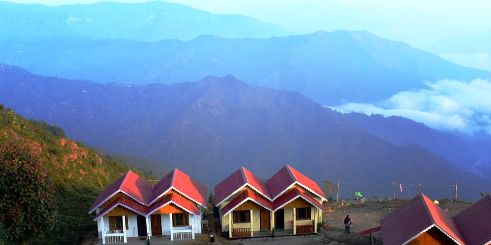 PCD-10021-PCD-10021-5.jpg Image