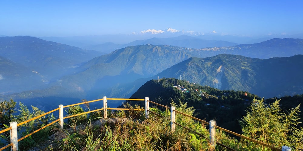 PCD-10022-PCD-10022-1.jpg Image