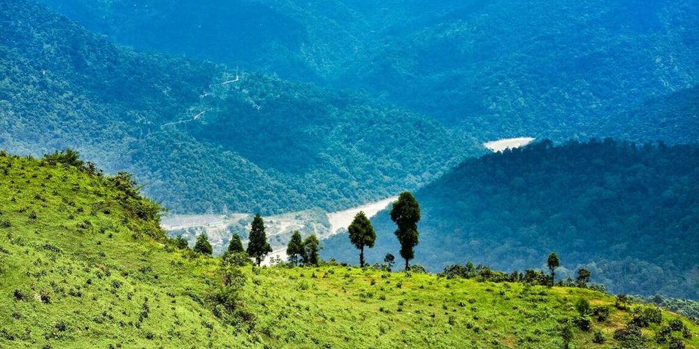 PCD-10022-PCD-10022-5.jpg Image