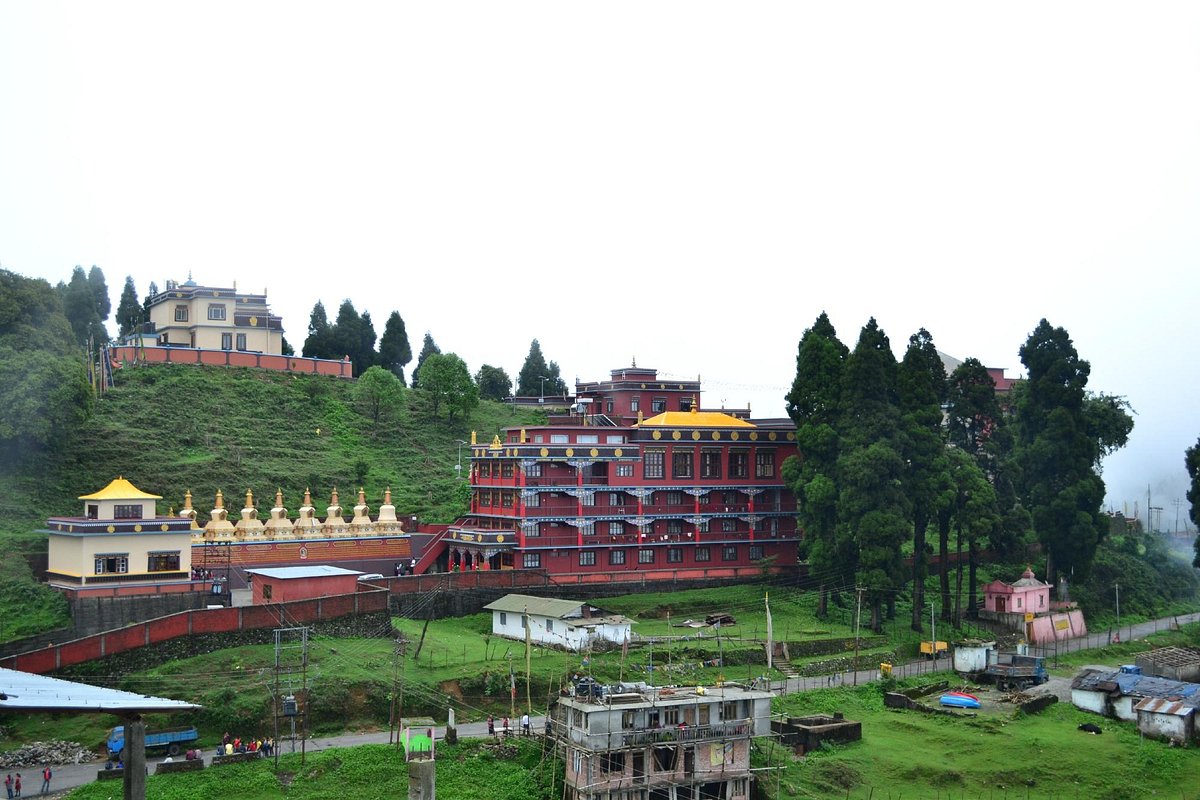 PCD-10024-PCD-10024-3.jpg Image