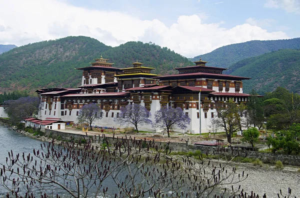 PCD-10025-PCD-10025-2.jpg Image